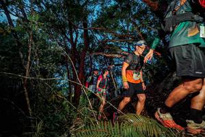 BIB: 
                            <button type="button" onclick="openModal(24782969)" class="btn btn-primary btn-sm float-right btn-popup" data-toggle="modal" data-target=".modal-high-quality">
                        <i class="fas fa-shopping-cart"></i> Add to Cart
                    </button>
                                            <button type="button" onclick="isThisMe(24782969, true)" class="btn btn-success btn-sm float-right btn-popup btn-isme hidden" data-toggle="tooltip" data-placement="bottom" title="นี่คือรูปของคุณใช่ไหม คลิกที่นี่เพื่อเอาเข้าอัลบั้ม">
                        <i class="fas fa-plus"></i> Add to album
                    </button>
                    <button type="button" onclick="isThisMe(24782969, false)" class="btn btn-warning btn-sm float-right btn-popup btn-isnotme hidden">
                        <i class="fas fa-ban"></i> Remove from album
                    </button>