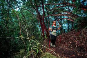 BIB: 
                            <button type="button" onclick="openModal(24780894)" class="btn btn-primary btn-sm float-right btn-popup" data-toggle="modal" data-target=".modal-high-quality">
                        <i class="fas fa-shopping-cart"></i> Add to Cart
                    </button>
                                            <button type="button" onclick="isThisMe(24780894, true)" class="btn btn-success btn-sm float-right btn-popup btn-isme hidden" data-toggle="tooltip" data-placement="bottom" title="นี่คือรูปของคุณใช่ไหม คลิกที่นี่เพื่อเอาเข้าอัลบั้ม">
                        <i class="fas fa-plus"></i> Add to album
                    </button>
                    <button type="button" onclick="isThisMe(24780894, false)" class="btn btn-warning btn-sm float-right btn-popup btn-isnotme hidden">
                        <i class="fas fa-ban"></i> Remove from album
                    </button>