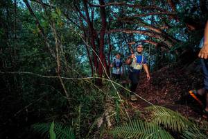 BIB: 
                            <button type="button" onclick="openModal(24787464)" class="btn btn-primary btn-sm float-right btn-popup" data-toggle="modal" data-target=".modal-high-quality">
                        <i class="fas fa-shopping-cart"></i> Add to Cart
                    </button>
                                            <button type="button" onclick="isThisMe(24787464, true)" class="btn btn-success btn-sm float-right btn-popup btn-isme hidden" data-toggle="tooltip" data-placement="bottom" title="นี่คือรูปของคุณใช่ไหม คลิกที่นี่เพื่อเอาเข้าอัลบั้ม">
                        <i class="fas fa-plus"></i> Add to album
                    </button>
                    <button type="button" onclick="isThisMe(24787464, false)" class="btn btn-warning btn-sm float-right btn-popup btn-isnotme hidden">
                        <i class="fas fa-ban"></i> Remove from album
                    </button>