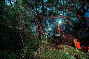 BIB: 
                            <button type="button" onclick="openModal(24785767)" class="btn btn-primary btn-sm float-right btn-popup" data-toggle="modal" data-target=".modal-high-quality">
                        <i class="fas fa-shopping-cart"></i> Add to Cart
                    </button>
                                            <button type="button" onclick="isThisMe(24785767, true)" class="btn btn-success btn-sm float-right btn-popup btn-isme hidden" data-toggle="tooltip" data-placement="bottom" title="นี่คือรูปของคุณใช่ไหม คลิกที่นี่เพื่อเอาเข้าอัลบั้ม">
                        <i class="fas fa-plus"></i> Add to album
                    </button>
                    <button type="button" onclick="isThisMe(24785767, false)" class="btn btn-warning btn-sm float-right btn-popup btn-isnotme hidden">
                        <i class="fas fa-ban"></i> Remove from album
                    </button>