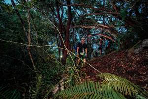 BIB: 
                            <button type="button" onclick="openModal(24785635)" class="btn btn-primary btn-sm float-right btn-popup" data-toggle="modal" data-target=".modal-high-quality">
                        <i class="fas fa-shopping-cart"></i> Add to Cart
                    </button>
                                            <button type="button" onclick="isThisMe(24785635, true)" class="btn btn-success btn-sm float-right btn-popup btn-isme hidden" data-toggle="tooltip" data-placement="bottom" title="นี่คือรูปของคุณใช่ไหม คลิกที่นี่เพื่อเอาเข้าอัลบั้ม">
                        <i class="fas fa-plus"></i> Add to album
                    </button>
                    <button type="button" onclick="isThisMe(24785635, false)" class="btn btn-warning btn-sm float-right btn-popup btn-isnotme hidden">
                        <i class="fas fa-ban"></i> Remove from album
                    </button>