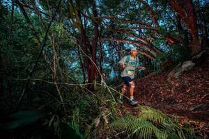 BIB: 
                            <button type="button" onclick="openModal(24786444)" class="btn btn-primary btn-sm float-right btn-popup" data-toggle="modal" data-target=".modal-high-quality">
                        <i class="fas fa-shopping-cart"></i> Add to Cart
                    </button>
                                            <button type="button" onclick="isThisMe(24786444, true)" class="btn btn-success btn-sm float-right btn-popup btn-isme hidden" data-toggle="tooltip" data-placement="bottom" title="นี่คือรูปของคุณใช่ไหม คลิกที่นี่เพื่อเอาเข้าอัลบั้ม">
                        <i class="fas fa-plus"></i> Add to album
                    </button>
                    <button type="button" onclick="isThisMe(24786444, false)" class="btn btn-warning btn-sm float-right btn-popup btn-isnotme hidden">
                        <i class="fas fa-ban"></i> Remove from album
                    </button>