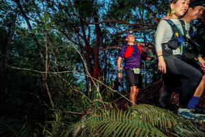 BIB: 
                            <button type="button" onclick="openModal(24784023)" class="btn btn-primary btn-sm float-right btn-popup" data-toggle="modal" data-target=".modal-high-quality">
                        <i class="fas fa-shopping-cart"></i> Add to Cart
                    </button>
                                            <button type="button" onclick="isThisMe(24784023, true)" class="btn btn-success btn-sm float-right btn-popup btn-isme hidden" data-toggle="tooltip" data-placement="bottom" title="นี่คือรูปของคุณใช่ไหม คลิกที่นี่เพื่อเอาเข้าอัลบั้ม">
                        <i class="fas fa-plus"></i> Add to album
                    </button>
                    <button type="button" onclick="isThisMe(24784023, false)" class="btn btn-warning btn-sm float-right btn-popup btn-isnotme hidden">
                        <i class="fas fa-ban"></i> Remove from album
                    </button>