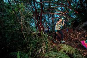 BIB: 
                            <button type="button" onclick="openModal(24787284)" class="btn btn-primary btn-sm float-right btn-popup" data-toggle="modal" data-target=".modal-high-quality">
                        <i class="fas fa-shopping-cart"></i> Add to Cart
                    </button>
                                            <button type="button" onclick="isThisMe(24787284, true)" class="btn btn-success btn-sm float-right btn-popup btn-isme hidden" data-toggle="tooltip" data-placement="bottom" title="นี่คือรูปของคุณใช่ไหม คลิกที่นี่เพื่อเอาเข้าอัลบั้ม">
                        <i class="fas fa-plus"></i> Add to album
                    </button>
                    <button type="button" onclick="isThisMe(24787284, false)" class="btn btn-warning btn-sm float-right btn-popup btn-isnotme hidden">
                        <i class="fas fa-ban"></i> Remove from album
                    </button>