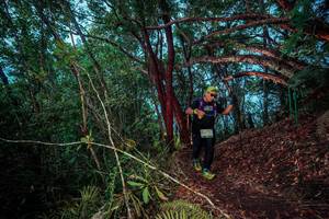 BIB: 
                            <button type="button" onclick="openModal(24789075)" class="btn btn-primary btn-sm float-right btn-popup" data-toggle="modal" data-target=".modal-high-quality">
                        <i class="fas fa-shopping-cart"></i> Add to Cart
                    </button>
                                            <button type="button" onclick="isThisMe(24789075, true)" class="btn btn-success btn-sm float-right btn-popup btn-isme hidden" data-toggle="tooltip" data-placement="bottom" title="นี่คือรูปของคุณใช่ไหม คลิกที่นี่เพื่อเอาเข้าอัลบั้ม">
                        <i class="fas fa-plus"></i> Add to album
                    </button>
                    <button type="button" onclick="isThisMe(24789075, false)" class="btn btn-warning btn-sm float-right btn-popup btn-isnotme hidden">
                        <i class="fas fa-ban"></i> Remove from album
                    </button>