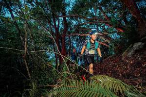 BIB: 3287
                            <button type="button" onclick="openModal(24785556)" class="btn btn-primary btn-sm float-right btn-popup" data-toggle="modal" data-target=".modal-high-quality">
                        <i class="fas fa-shopping-cart"></i> Add to Cart
                    </button>
                                            <button type="button" onclick="isThisMe(24785556, true)" class="btn btn-success btn-sm float-right btn-popup btn-isme hidden" data-toggle="tooltip" data-placement="bottom" title="นี่คือรูปของคุณใช่ไหม คลิกที่นี่เพื่อเอาเข้าอัลบั้ม">
                        <i class="fas fa-plus"></i> Add to album
                    </button>
                    <button type="button" onclick="isThisMe(24785556, false)" class="btn btn-warning btn-sm float-right btn-popup btn-isnotme hidden">
                        <i class="fas fa-ban"></i> Remove from album
                    </button>