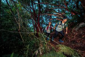 BIB: 
                            <button type="button" onclick="openModal(24786758)" class="btn btn-primary btn-sm float-right btn-popup" data-toggle="modal" data-target=".modal-high-quality">
                        <i class="fas fa-shopping-cart"></i> Add to Cart
                    </button>
                                            <button type="button" onclick="isThisMe(24786758, true)" class="btn btn-success btn-sm float-right btn-popup btn-isme hidden" data-toggle="tooltip" data-placement="bottom" title="นี่คือรูปของคุณใช่ไหม คลิกที่นี่เพื่อเอาเข้าอัลบั้ม">
                        <i class="fas fa-plus"></i> Add to album
                    </button>
                    <button type="button" onclick="isThisMe(24786758, false)" class="btn btn-warning btn-sm float-right btn-popup btn-isnotme hidden">
                        <i class="fas fa-ban"></i> Remove from album
                    </button>