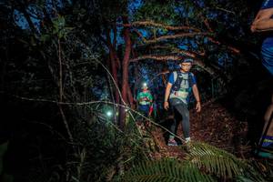 BIB: 
                            <button type="button" onclick="openModal(24789237)" class="btn btn-primary btn-sm float-right btn-popup" data-toggle="modal" data-target=".modal-high-quality">
                        <i class="fas fa-shopping-cart"></i> Add to Cart
                    </button>
                                            <button type="button" onclick="isThisMe(24789237, true)" class="btn btn-success btn-sm float-right btn-popup btn-isme hidden" data-toggle="tooltip" data-placement="bottom" title="นี่คือรูปของคุณใช่ไหม คลิกที่นี่เพื่อเอาเข้าอัลบั้ม">
                        <i class="fas fa-plus"></i> Add to album
                    </button>
                    <button type="button" onclick="isThisMe(24789237, false)" class="btn btn-warning btn-sm float-right btn-popup btn-isnotme hidden">
                        <i class="fas fa-ban"></i> Remove from album
                    </button>