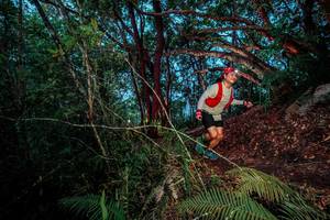 BIB: 
                            <button type="button" onclick="openModal(24786943)" class="btn btn-primary btn-sm float-right btn-popup" data-toggle="modal" data-target=".modal-high-quality">
                        <i class="fas fa-shopping-cart"></i> Add to Cart
                    </button>
                                            <button type="button" onclick="isThisMe(24786943, true)" class="btn btn-success btn-sm float-right btn-popup btn-isme hidden" data-toggle="tooltip" data-placement="bottom" title="นี่คือรูปของคุณใช่ไหม คลิกที่นี่เพื่อเอาเข้าอัลบั้ม">
                        <i class="fas fa-plus"></i> Add to album
                    </button>
                    <button type="button" onclick="isThisMe(24786943, false)" class="btn btn-warning btn-sm float-right btn-popup btn-isnotme hidden">
                        <i class="fas fa-ban"></i> Remove from album
                    </button>