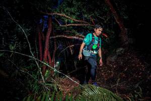 BIB: 
                            <button type="button" onclick="openModal(24784347)" class="btn btn-primary btn-sm float-right btn-popup" data-toggle="modal" data-target=".modal-high-quality">
                        <i class="fas fa-shopping-cart"></i> Add to Cart
                    </button>
                                            <button type="button" onclick="isThisMe(24784347, true)" class="btn btn-success btn-sm float-right btn-popup btn-isme hidden" data-toggle="tooltip" data-placement="bottom" title="นี่คือรูปของคุณใช่ไหม คลิกที่นี่เพื่อเอาเข้าอัลบั้ม">
                        <i class="fas fa-plus"></i> Add to album
                    </button>
                    <button type="button" onclick="isThisMe(24784347, false)" class="btn btn-warning btn-sm float-right btn-popup btn-isnotme hidden">
                        <i class="fas fa-ban"></i> Remove from album
                    </button>