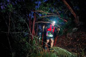 BIB: 
                            <button type="button" onclick="openModal(24786701)" class="btn btn-primary btn-sm float-right btn-popup" data-toggle="modal" data-target=".modal-high-quality">
                        <i class="fas fa-shopping-cart"></i> Add to Cart
                    </button>
                                            <button type="button" onclick="isThisMe(24786701, true)" class="btn btn-success btn-sm float-right btn-popup btn-isme hidden" data-toggle="tooltip" data-placement="bottom" title="นี่คือรูปของคุณใช่ไหม คลิกที่นี่เพื่อเอาเข้าอัลบั้ม">
                        <i class="fas fa-plus"></i> Add to album
                    </button>
                    <button type="button" onclick="isThisMe(24786701, false)" class="btn btn-warning btn-sm float-right btn-popup btn-isnotme hidden">
                        <i class="fas fa-ban"></i> Remove from album
                    </button>