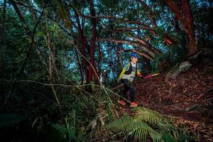 BIB: 
                            <button type="button" onclick="openModal(24786409)" class="btn btn-primary btn-sm float-right btn-popup" data-toggle="modal" data-target=".modal-high-quality">
                        <i class="fas fa-shopping-cart"></i> Add to Cart
                    </button>
                                            <button type="button" onclick="isThisMe(24786409, true)" class="btn btn-success btn-sm float-right btn-popup btn-isme hidden" data-toggle="tooltip" data-placement="bottom" title="นี่คือรูปของคุณใช่ไหม คลิกที่นี่เพื่อเอาเข้าอัลบั้ม">
                        <i class="fas fa-plus"></i> Add to album
                    </button>
                    <button type="button" onclick="isThisMe(24786409, false)" class="btn btn-warning btn-sm float-right btn-popup btn-isnotme hidden">
                        <i class="fas fa-ban"></i> Remove from album
                    </button>