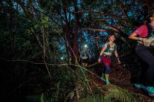 BIB: 
                            <button type="button" onclick="openModal(24782747)" class="btn btn-primary btn-sm float-right btn-popup" data-toggle="modal" data-target=".modal-high-quality">
                        <i class="fas fa-shopping-cart"></i> Add to Cart
                    </button>
                                            <button type="button" onclick="isThisMe(24782747, true)" class="btn btn-success btn-sm float-right btn-popup btn-isme hidden" data-toggle="tooltip" data-placement="bottom" title="นี่คือรูปของคุณใช่ไหม คลิกที่นี่เพื่อเอาเข้าอัลบั้ม">
                        <i class="fas fa-plus"></i> Add to album
                    </button>
                    <button type="button" onclick="isThisMe(24782747, false)" class="btn btn-warning btn-sm float-right btn-popup btn-isnotme hidden">
                        <i class="fas fa-ban"></i> Remove from album
                    </button>