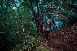 BIB: 
                            <button type="button" onclick="openModal(24781562)" class="btn btn-primary btn-sm float-right btn-popup" data-toggle="modal" data-target=".modal-high-quality">
                        <i class="fas fa-shopping-cart"></i> Add to Cart
                    </button>
                                            <button type="button" onclick="isThisMe(24781562, true)" class="btn btn-success btn-sm float-right btn-popup btn-isme hidden" data-toggle="tooltip" data-placement="bottom" title="นี่คือรูปของคุณใช่ไหม คลิกที่นี่เพื่อเอาเข้าอัลบั้ม">
                        <i class="fas fa-plus"></i> Add to album
                    </button>
                    <button type="button" onclick="isThisMe(24781562, false)" class="btn btn-warning btn-sm float-right btn-popup btn-isnotme hidden">
                        <i class="fas fa-ban"></i> Remove from album
                    </button>