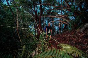 BIB: 
                            <button type="button" onclick="openModal(24785653)" class="btn btn-primary btn-sm float-right btn-popup" data-toggle="modal" data-target=".modal-high-quality">
                        <i class="fas fa-shopping-cart"></i> Add to Cart
                    </button>
                                            <button type="button" onclick="isThisMe(24785653, true)" class="btn btn-success btn-sm float-right btn-popup btn-isme hidden" data-toggle="tooltip" data-placement="bottom" title="นี่คือรูปของคุณใช่ไหม คลิกที่นี่เพื่อเอาเข้าอัลบั้ม">
                        <i class="fas fa-plus"></i> Add to album
                    </button>
                    <button type="button" onclick="isThisMe(24785653, false)" class="btn btn-warning btn-sm float-right btn-popup btn-isnotme hidden">
                        <i class="fas fa-ban"></i> Remove from album
                    </button>