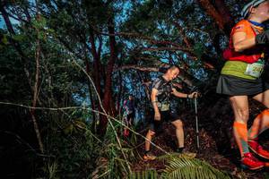 BIB: 
                            <button type="button" onclick="openModal(24783113)" class="btn btn-primary btn-sm float-right btn-popup" data-toggle="modal" data-target=".modal-high-quality">
                        <i class="fas fa-shopping-cart"></i> Add to Cart
                    </button>
                                            <button type="button" onclick="isThisMe(24783113, true)" class="btn btn-success btn-sm float-right btn-popup btn-isme hidden" data-toggle="tooltip" data-placement="bottom" title="นี่คือรูปของคุณใช่ไหม คลิกที่นี่เพื่อเอาเข้าอัลบั้ม">
                        <i class="fas fa-plus"></i> Add to album
                    </button>
                    <button type="button" onclick="isThisMe(24783113, false)" class="btn btn-warning btn-sm float-right btn-popup btn-isnotme hidden">
                        <i class="fas fa-ban"></i> Remove from album
                    </button>