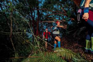 BIB: 
                            <button type="button" onclick="openModal(24782768)" class="btn btn-primary btn-sm float-right btn-popup" data-toggle="modal" data-target=".modal-high-quality">
                        <i class="fas fa-shopping-cart"></i> Add to Cart
                    </button>
                                            <button type="button" onclick="isThisMe(24782768, true)" class="btn btn-success btn-sm float-right btn-popup btn-isme hidden" data-toggle="tooltip" data-placement="bottom" title="นี่คือรูปของคุณใช่ไหม คลิกที่นี่เพื่อเอาเข้าอัลบั้ม">
                        <i class="fas fa-plus"></i> Add to album
                    </button>
                    <button type="button" onclick="isThisMe(24782768, false)" class="btn btn-warning btn-sm float-right btn-popup btn-isnotme hidden">
                        <i class="fas fa-ban"></i> Remove from album
                    </button>