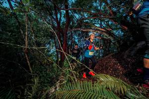 BIB: 
                            <button type="button" onclick="openModal(24784942)" class="btn btn-primary btn-sm float-right btn-popup" data-toggle="modal" data-target=".modal-high-quality">
                        <i class="fas fa-shopping-cart"></i> Add to Cart
                    </button>
                                            <button type="button" onclick="isThisMe(24784942, true)" class="btn btn-success btn-sm float-right btn-popup btn-isme hidden" data-toggle="tooltip" data-placement="bottom" title="นี่คือรูปของคุณใช่ไหม คลิกที่นี่เพื่อเอาเข้าอัลบั้ม">
                        <i class="fas fa-plus"></i> Add to album
                    </button>
                    <button type="button" onclick="isThisMe(24784942, false)" class="btn btn-warning btn-sm float-right btn-popup btn-isnotme hidden">
                        <i class="fas fa-ban"></i> Remove from album
                    </button>