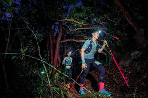 BIB: 
                            <button type="button" onclick="openModal(24785381)" class="btn btn-primary btn-sm float-right btn-popup" data-toggle="modal" data-target=".modal-high-quality">
                        <i class="fas fa-shopping-cart"></i> Add to Cart
                    </button>
                                            <button type="button" onclick="isThisMe(24785381, true)" class="btn btn-success btn-sm float-right btn-popup btn-isme hidden" data-toggle="tooltip" data-placement="bottom" title="นี่คือรูปของคุณใช่ไหม คลิกที่นี่เพื่อเอาเข้าอัลบั้ม">
                        <i class="fas fa-plus"></i> Add to album
                    </button>
                    <button type="button" onclick="isThisMe(24785381, false)" class="btn btn-warning btn-sm float-right btn-popup btn-isnotme hidden">
                        <i class="fas fa-ban"></i> Remove from album
                    </button>