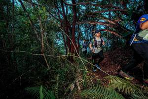 BIB: 
                            <button type="button" onclick="openModal(24787664)" class="btn btn-primary btn-sm float-right btn-popup" data-toggle="modal" data-target=".modal-high-quality">
                        <i class="fas fa-shopping-cart"></i> Add to Cart
                    </button>
                                            <button type="button" onclick="isThisMe(24787664, true)" class="btn btn-success btn-sm float-right btn-popup btn-isme hidden" data-toggle="tooltip" data-placement="bottom" title="นี่คือรูปของคุณใช่ไหม คลิกที่นี่เพื่อเอาเข้าอัลบั้ม">
                        <i class="fas fa-plus"></i> Add to album
                    </button>
                    <button type="button" onclick="isThisMe(24787664, false)" class="btn btn-warning btn-sm float-right btn-popup btn-isnotme hidden">
                        <i class="fas fa-ban"></i> Remove from album
                    </button>