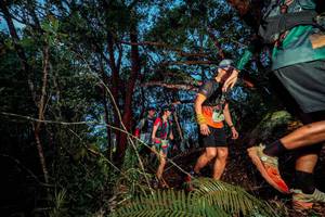 BIB: 
                            <button type="button" onclick="openModal(24782982)" class="btn btn-primary btn-sm float-right btn-popup" data-toggle="modal" data-target=".modal-high-quality">
                        <i class="fas fa-shopping-cart"></i> Add to Cart
                    </button>
                                            <button type="button" onclick="isThisMe(24782982, true)" class="btn btn-success btn-sm float-right btn-popup btn-isme hidden" data-toggle="tooltip" data-placement="bottom" title="นี่คือรูปของคุณใช่ไหม คลิกที่นี่เพื่อเอาเข้าอัลบั้ม">
                        <i class="fas fa-plus"></i> Add to album
                    </button>
                    <button type="button" onclick="isThisMe(24782982, false)" class="btn btn-warning btn-sm float-right btn-popup btn-isnotme hidden">
                        <i class="fas fa-ban"></i> Remove from album
                    </button>