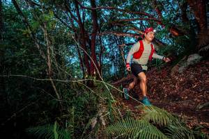 BIB: 
                            <button type="button" onclick="openModal(24786961)" class="btn btn-primary btn-sm float-right btn-popup" data-toggle="modal" data-target=".modal-high-quality">
                        <i class="fas fa-shopping-cart"></i> Add to Cart
                    </button>
                                            <button type="button" onclick="isThisMe(24786961, true)" class="btn btn-success btn-sm float-right btn-popup btn-isme hidden" data-toggle="tooltip" data-placement="bottom" title="นี่คือรูปของคุณใช่ไหม คลิกที่นี่เพื่อเอาเข้าอัลบั้ม">
                        <i class="fas fa-plus"></i> Add to album
                    </button>
                    <button type="button" onclick="isThisMe(24786961, false)" class="btn btn-warning btn-sm float-right btn-popup btn-isnotme hidden">
                        <i class="fas fa-ban"></i> Remove from album
                    </button>