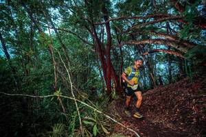 BIB: 
                            <button type="button" onclick="openModal(24789275)" class="btn btn-primary btn-sm float-right btn-popup" data-toggle="modal" data-target=".modal-high-quality">
                        <i class="fas fa-shopping-cart"></i> Add to Cart
                    </button>
                                            <button type="button" onclick="isThisMe(24789275, true)" class="btn btn-success btn-sm float-right btn-popup btn-isme hidden" data-toggle="tooltip" data-placement="bottom" title="นี่คือรูปของคุณใช่ไหม คลิกที่นี่เพื่อเอาเข้าอัลบั้ม">
                        <i class="fas fa-plus"></i> Add to album
                    </button>
                    <button type="button" onclick="isThisMe(24789275, false)" class="btn btn-warning btn-sm float-right btn-popup btn-isnotme hidden">
                        <i class="fas fa-ban"></i> Remove from album
                    </button>