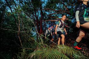 BIB: 266
                            <button type="button" onclick="openModal(24783940)" class="btn btn-primary btn-sm float-right btn-popup" data-toggle="modal" data-target=".modal-high-quality">
                        <i class="fas fa-shopping-cart"></i> Add to Cart
                    </button>
                                            <button type="button" onclick="isThisMe(24783940, true)" class="btn btn-success btn-sm float-right btn-popup btn-isme hidden" data-toggle="tooltip" data-placement="bottom" title="นี่คือรูปของคุณใช่ไหม คลิกที่นี่เพื่อเอาเข้าอัลบั้ม">
                        <i class="fas fa-plus"></i> Add to album
                    </button>
                    <button type="button" onclick="isThisMe(24783940, false)" class="btn btn-warning btn-sm float-right btn-popup btn-isnotme hidden">
                        <i class="fas fa-ban"></i> Remove from album
                    </button>