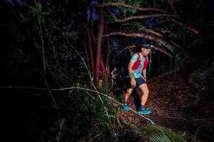 BIB: 
                            <button type="button" onclick="openModal(24785293)" class="btn btn-primary btn-sm float-right btn-popup" data-toggle="modal" data-target=".modal-high-quality">
                        <i class="fas fa-shopping-cart"></i> Add to Cart
                    </button>
                                            <button type="button" onclick="isThisMe(24785293, true)" class="btn btn-success btn-sm float-right btn-popup btn-isme hidden" data-toggle="tooltip" data-placement="bottom" title="นี่คือรูปของคุณใช่ไหม คลิกที่นี่เพื่อเอาเข้าอัลบั้ม">
                        <i class="fas fa-plus"></i> Add to album
                    </button>
                    <button type="button" onclick="isThisMe(24785293, false)" class="btn btn-warning btn-sm float-right btn-popup btn-isnotme hidden">
                        <i class="fas fa-ban"></i> Remove from album
                    </button>