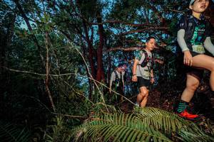 BIB: 266
                            <button type="button" onclick="openModal(24783922)" class="btn btn-primary btn-sm float-right btn-popup" data-toggle="modal" data-target=".modal-high-quality">
                        <i class="fas fa-shopping-cart"></i> Add to Cart
                    </button>
                                            <button type="button" onclick="isThisMe(24783922, true)" class="btn btn-success btn-sm float-right btn-popup btn-isme hidden" data-toggle="tooltip" data-placement="bottom" title="นี่คือรูปของคุณใช่ไหม คลิกที่นี่เพื่อเอาเข้าอัลบั้ม">
                        <i class="fas fa-plus"></i> Add to album
                    </button>
                    <button type="button" onclick="isThisMe(24783922, false)" class="btn btn-warning btn-sm float-right btn-popup btn-isnotme hidden">
                        <i class="fas fa-ban"></i> Remove from album
                    </button>