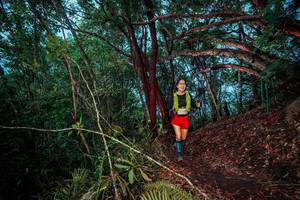 BIB: 
                            <button type="button" onclick="openModal(24788881)" class="btn btn-primary btn-sm float-right btn-popup" data-toggle="modal" data-target=".modal-high-quality">
                        <i class="fas fa-shopping-cart"></i> Add to Cart
                    </button>
                                            <button type="button" onclick="isThisMe(24788881, true)" class="btn btn-success btn-sm float-right btn-popup btn-isme hidden" data-toggle="tooltip" data-placement="bottom" title="นี่คือรูปของคุณใช่ไหม คลิกที่นี่เพื่อเอาเข้าอัลบั้ม">
                        <i class="fas fa-plus"></i> Add to album
                    </button>
                    <button type="button" onclick="isThisMe(24788881, false)" class="btn btn-warning btn-sm float-right btn-popup btn-isnotme hidden">
                        <i class="fas fa-ban"></i> Remove from album
                    </button>