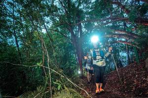 BIB: 
                            <button type="button" onclick="openModal(24788023)" class="btn btn-primary btn-sm float-right btn-popup" data-toggle="modal" data-target=".modal-high-quality">
                        <i class="fas fa-shopping-cart"></i> Add to Cart
                    </button>
                                            <button type="button" onclick="isThisMe(24788023, true)" class="btn btn-success btn-sm float-right btn-popup btn-isme hidden" data-toggle="tooltip" data-placement="bottom" title="นี่คือรูปของคุณใช่ไหม คลิกที่นี่เพื่อเอาเข้าอัลบั้ม">
                        <i class="fas fa-plus"></i> Add to album
                    </button>
                    <button type="button" onclick="isThisMe(24788023, false)" class="btn btn-warning btn-sm float-right btn-popup btn-isnotme hidden">
                        <i class="fas fa-ban"></i> Remove from album
                    </button>