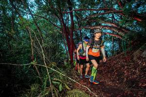 BIB: 2141, 
                            <button type="button" onclick="openModal(24788552)" class="btn btn-primary btn-sm float-right btn-popup" data-toggle="modal" data-target=".modal-high-quality">
                        <i class="fas fa-shopping-cart"></i> Add to Cart
                    </button>
                                            <button type="button" onclick="isThisMe(24788552, true)" class="btn btn-success btn-sm float-right btn-popup btn-isme hidden" data-toggle="tooltip" data-placement="bottom" title="นี่คือรูปของคุณใช่ไหม คลิกที่นี่เพื่อเอาเข้าอัลบั้ม">
                        <i class="fas fa-plus"></i> Add to album
                    </button>
                    <button type="button" onclick="isThisMe(24788552, false)" class="btn btn-warning btn-sm float-right btn-popup btn-isnotme hidden">
                        <i class="fas fa-ban"></i> Remove from album
                    </button>