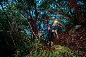 BIB: 
                            <button type="button" onclick="openModal(24785793)" class="btn btn-primary btn-sm float-right btn-popup" data-toggle="modal" data-target=".modal-high-quality">
                        <i class="fas fa-shopping-cart"></i> Add to Cart
                    </button>
                                            <button type="button" onclick="isThisMe(24785793, true)" class="btn btn-success btn-sm float-right btn-popup btn-isme hidden" data-toggle="tooltip" data-placement="bottom" title="นี่คือรูปของคุณใช่ไหม คลิกที่นี่เพื่อเอาเข้าอัลบั้ม">
                        <i class="fas fa-plus"></i> Add to album
                    </button>
                    <button type="button" onclick="isThisMe(24785793, false)" class="btn btn-warning btn-sm float-right btn-popup btn-isnotme hidden">
                        <i class="fas fa-ban"></i> Remove from album
                    </button>