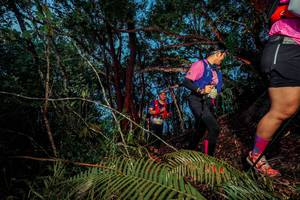 BIB: 
                            <button type="button" onclick="openModal(24782820)" class="btn btn-primary btn-sm float-right btn-popup" data-toggle="modal" data-target=".modal-high-quality">
                        <i class="fas fa-shopping-cart"></i> Add to Cart
                    </button>
                                            <button type="button" onclick="isThisMe(24782820, true)" class="btn btn-success btn-sm float-right btn-popup btn-isme hidden" data-toggle="tooltip" data-placement="bottom" title="นี่คือรูปของคุณใช่ไหม คลิกที่นี่เพื่อเอาเข้าอัลบั้ม">
                        <i class="fas fa-plus"></i> Add to album
                    </button>
                    <button type="button" onclick="isThisMe(24782820, false)" class="btn btn-warning btn-sm float-right btn-popup btn-isnotme hidden">
                        <i class="fas fa-ban"></i> Remove from album
                    </button>