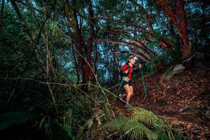 BIB: 
                            <button type="button" onclick="openModal(24786335)" class="btn btn-primary btn-sm float-right btn-popup" data-toggle="modal" data-target=".modal-high-quality">
                        <i class="fas fa-shopping-cart"></i> Add to Cart
                    </button>
                                            <button type="button" onclick="isThisMe(24786335, true)" class="btn btn-success btn-sm float-right btn-popup btn-isme hidden" data-toggle="tooltip" data-placement="bottom" title="นี่คือรูปของคุณใช่ไหม คลิกที่นี่เพื่อเอาเข้าอัลบั้ม">
                        <i class="fas fa-plus"></i> Add to album
                    </button>
                    <button type="button" onclick="isThisMe(24786335, false)" class="btn btn-warning btn-sm float-right btn-popup btn-isnotme hidden">
                        <i class="fas fa-ban"></i> Remove from album
                    </button>