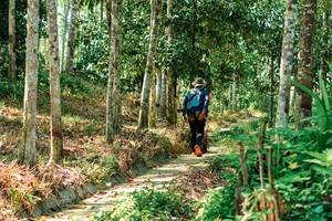 BIB: 
                            <button type="button" onclick="openModal(24783340)" class="btn btn-primary btn-sm float-right btn-popup" data-toggle="modal" data-target=".modal-high-quality">
                        <i class="fas fa-shopping-cart"></i> Add to Cart
                    </button>
                                            <button type="button" onclick="isThisMe(24783340, true)" class="btn btn-success btn-sm float-right btn-popup btn-isme hidden" data-toggle="tooltip" data-placement="bottom" title="นี่คือรูปของคุณใช่ไหม คลิกที่นี่เพื่อเอาเข้าอัลบั้ม">
                        <i class="fas fa-plus"></i> Add to album
                    </button>
                    <button type="button" onclick="isThisMe(24783340, false)" class="btn btn-warning btn-sm float-right btn-popup btn-isnotme hidden">
                        <i class="fas fa-ban"></i> Remove from album
                    </button>