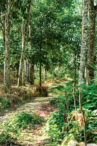 BIB: 
                            <button type="button" onclick="openModal(24783149)" class="btn btn-primary btn-sm float-right btn-popup" data-toggle="modal" data-target=".modal-high-quality">
                        <i class="fas fa-shopping-cart"></i> Add to Cart
                    </button>
                                            <button type="button" onclick="isThisMe(24783149, true)" class="btn btn-success btn-sm float-right btn-popup btn-isme hidden" data-toggle="tooltip" data-placement="bottom" title="นี่คือรูปของคุณใช่ไหม คลิกที่นี่เพื่อเอาเข้าอัลบั้ม">
                        <i class="fas fa-plus"></i> Add to album
                    </button>
                    <button type="button" onclick="isThisMe(24783149, false)" class="btn btn-warning btn-sm float-right btn-popup btn-isnotme hidden">
                        <i class="fas fa-ban"></i> Remove from album
                    </button>