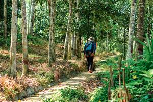 BIB: 
                            <button type="button" onclick="openModal(24783342)" class="btn btn-primary btn-sm float-right btn-popup" data-toggle="modal" data-target=".modal-high-quality">
                        <i class="fas fa-shopping-cart"></i> Add to Cart
                    </button>
                                            <button type="button" onclick="isThisMe(24783342, true)" class="btn btn-success btn-sm float-right btn-popup btn-isme hidden" data-toggle="tooltip" data-placement="bottom" title="นี่คือรูปของคุณใช่ไหม คลิกที่นี่เพื่อเอาเข้าอัลบั้ม">
                        <i class="fas fa-plus"></i> Add to album
                    </button>
                    <button type="button" onclick="isThisMe(24783342, false)" class="btn btn-warning btn-sm float-right btn-popup btn-isnotme hidden">
                        <i class="fas fa-ban"></i> Remove from album
                    </button>