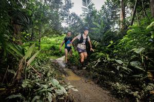 BIB: 
                            <button type="button" onclick="openModal(24837300)" class="btn btn-primary btn-sm float-right btn-popup" data-toggle="modal" data-target=".modal-high-quality">
                        <i class="fas fa-shopping-cart"></i> Add to Cart
                    </button>
                                            <button type="button" onclick="isThisMe(24837300, true)" class="btn btn-success btn-sm float-right btn-popup btn-isme hidden" data-toggle="tooltip" data-placement="bottom" title="นี่คือรูปของคุณใช่ไหม คลิกที่นี่เพื่อเอาเข้าอัลบั้ม">
                        <i class="fas fa-plus"></i> Add to album
                    </button>
                    <button type="button" onclick="isThisMe(24837300, false)" class="btn btn-warning btn-sm float-right btn-popup btn-isnotme hidden">
                        <i class="fas fa-ban"></i> Remove from album
                    </button>