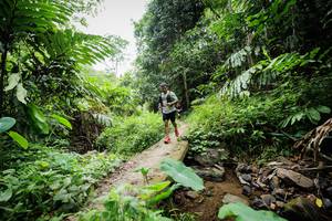 BIB: 
                            <button type="button" onclick="openModal(24834415)" class="btn btn-primary btn-sm float-right btn-popup" data-toggle="modal" data-target=".modal-high-quality">
                        <i class="fas fa-shopping-cart"></i> Add to Cart
                    </button>
                                            <button type="button" onclick="isThisMe(24834415, true)" class="btn btn-success btn-sm float-right btn-popup btn-isme hidden" data-toggle="tooltip" data-placement="bottom" title="นี่คือรูปของคุณใช่ไหม คลิกที่นี่เพื่อเอาเข้าอัลบั้ม">
                        <i class="fas fa-plus"></i> Add to album
                    </button>
                    <button type="button" onclick="isThisMe(24834415, false)" class="btn btn-warning btn-sm float-right btn-popup btn-isnotme hidden">
                        <i class="fas fa-ban"></i> Remove from album
                    </button>