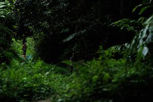 BIB: 
                            <button type="button" onclick="openModal(24834136)" class="btn btn-primary btn-sm float-right btn-popup" data-toggle="modal" data-target=".modal-high-quality">
                        <i class="fas fa-shopping-cart"></i> Add to Cart
                    </button>
                                            <button type="button" onclick="isThisMe(24834136, true)" class="btn btn-success btn-sm float-right btn-popup btn-isme hidden" data-toggle="tooltip" data-placement="bottom" title="นี่คือรูปของคุณใช่ไหม คลิกที่นี่เพื่อเอาเข้าอัลบั้ม">
                        <i class="fas fa-plus"></i> Add to album
                    </button>
                    <button type="button" onclick="isThisMe(24834136, false)" class="btn btn-warning btn-sm float-right btn-popup btn-isnotme hidden">
                        <i class="fas fa-ban"></i> Remove from album
                    </button>