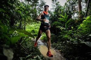 BIB: 6002
                            <button type="button" onclick="openModal(24836777)" class="btn btn-primary btn-sm float-right btn-popup" data-toggle="modal" data-target=".modal-high-quality">
                        <i class="fas fa-shopping-cart"></i> Add to Cart
                    </button>
                                            <button type="button" onclick="isThisMe(24836777, true)" class="btn btn-success btn-sm float-right btn-popup btn-isme hidden" data-toggle="tooltip" data-placement="bottom" title="นี่คือรูปของคุณใช่ไหม คลิกที่นี่เพื่อเอาเข้าอัลบั้ม">
                        <i class="fas fa-plus"></i> Add to album
                    </button>
                    <button type="button" onclick="isThisMe(24836777, false)" class="btn btn-warning btn-sm float-right btn-popup btn-isnotme hidden">
                        <i class="fas fa-ban"></i> Remove from album
                    </button>