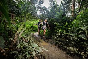 BIB: 
                            <button type="button" onclick="openModal(24837299)" class="btn btn-primary btn-sm float-right btn-popup" data-toggle="modal" data-target=".modal-high-quality">
                        <i class="fas fa-shopping-cart"></i> Add to Cart
                    </button>
                                            <button type="button" onclick="isThisMe(24837299, true)" class="btn btn-success btn-sm float-right btn-popup btn-isme hidden" data-toggle="tooltip" data-placement="bottom" title="นี่คือรูปของคุณใช่ไหม คลิกที่นี่เพื่อเอาเข้าอัลบั้ม">
                        <i class="fas fa-plus"></i> Add to album
                    </button>
                    <button type="button" onclick="isThisMe(24837299, false)" class="btn btn-warning btn-sm float-right btn-popup btn-isnotme hidden">
                        <i class="fas fa-ban"></i> Remove from album
                    </button>