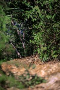 BIB: 
                            <button type="button" onclick="openModal(24859793)" class="btn btn-primary btn-sm float-right btn-popup" data-toggle="modal" data-target=".modal-high-quality">
                        <i class="fas fa-shopping-cart"></i> Add to Cart
                    </button>
                                            <button type="button" onclick="isThisMe(24859793, true)" class="btn btn-success btn-sm float-right btn-popup btn-isme hidden" data-toggle="tooltip" data-placement="bottom" title="นี่คือรูปของคุณใช่ไหม คลิกที่นี่เพื่อเอาเข้าอัลบั้ม">
                        <i class="fas fa-plus"></i> Add to album
                    </button>
                    <button type="button" onclick="isThisMe(24859793, false)" class="btn btn-warning btn-sm float-right btn-popup btn-isnotme hidden">
                        <i class="fas fa-ban"></i> Remove from album
                    </button>