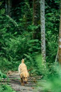 BIB: 
                            <button type="button" onclick="openModal(24790714)" class="btn btn-primary btn-sm float-right btn-popup" data-toggle="modal" data-target=".modal-high-quality">
                        <i class="fas fa-shopping-cart"></i> Add to Cart
                    </button>
                                            <button type="button" onclick="isThisMe(24790714, true)" class="btn btn-success btn-sm float-right btn-popup btn-isme hidden" data-toggle="tooltip" data-placement="bottom" title="นี่คือรูปของคุณใช่ไหม คลิกที่นี่เพื่อเอาเข้าอัลบั้ม">
                        <i class="fas fa-plus"></i> Add to album
                    </button>
                    <button type="button" onclick="isThisMe(24790714, false)" class="btn btn-warning btn-sm float-right btn-popup btn-isnotme hidden">
                        <i class="fas fa-ban"></i> Remove from album
                    </button>