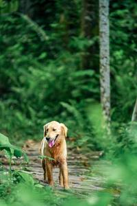 BIB: 
                            <button type="button" onclick="openModal(24790707)" class="btn btn-primary btn-sm float-right btn-popup" data-toggle="modal" data-target=".modal-high-quality">
                        <i class="fas fa-shopping-cart"></i> Add to Cart
                    </button>
                                            <button type="button" onclick="isThisMe(24790707, true)" class="btn btn-success btn-sm float-right btn-popup btn-isme hidden" data-toggle="tooltip" data-placement="bottom" title="นี่คือรูปของคุณใช่ไหม คลิกที่นี่เพื่อเอาเข้าอัลบั้ม">
                        <i class="fas fa-plus"></i> Add to album
                    </button>
                    <button type="button" onclick="isThisMe(24790707, false)" class="btn btn-warning btn-sm float-right btn-popup btn-isnotme hidden">
                        <i class="fas fa-ban"></i> Remove from album
                    </button>