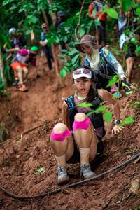 BIB: 
                            <button type="button" onclick="openModal(24847483)" class="btn btn-primary btn-sm float-right btn-popup" data-toggle="modal" data-target=".modal-high-quality">
                        <i class="fas fa-shopping-cart"></i> Add to Cart
                    </button>
                                            <button type="button" onclick="isThisMe(24847483, true)" class="btn btn-success btn-sm float-right btn-popup btn-isme hidden" data-toggle="tooltip" data-placement="bottom" title="นี่คือรูปของคุณใช่ไหม คลิกที่นี่เพื่อเอาเข้าอัลบั้ม">
                        <i class="fas fa-plus"></i> Add to album
                    </button>
                    <button type="button" onclick="isThisMe(24847483, false)" class="btn btn-warning btn-sm float-right btn-popup btn-isnotme hidden">
                        <i class="fas fa-ban"></i> Remove from album
                    </button>