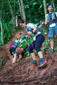 BIB: 
                            <button type="button" onclick="openModal(24846835)" class="btn btn-primary btn-sm float-right btn-popup" data-toggle="modal" data-target=".modal-high-quality">
                        <i class="fas fa-shopping-cart"></i> Add to Cart
                    </button>
                                            <button type="button" onclick="isThisMe(24846835, true)" class="btn btn-success btn-sm float-right btn-popup btn-isme hidden" data-toggle="tooltip" data-placement="bottom" title="นี่คือรูปของคุณใช่ไหม คลิกที่นี่เพื่อเอาเข้าอัลบั้ม">
                        <i class="fas fa-plus"></i> Add to album
                    </button>
                    <button type="button" onclick="isThisMe(24846835, false)" class="btn btn-warning btn-sm float-right btn-popup btn-isnotme hidden">
                        <i class="fas fa-ban"></i> Remove from album
                    </button>