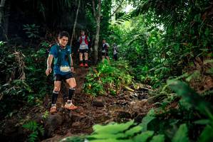 BIB: 
                            <button type="button" onclick="openModal(24783138)" class="btn btn-primary btn-sm float-right btn-popup" data-toggle="modal" data-target=".modal-high-quality">
                        <i class="fas fa-shopping-cart"></i> Add to Cart
                    </button>
                                            <button type="button" onclick="isThisMe(24783138, true)" class="btn btn-success btn-sm float-right btn-popup btn-isme hidden" data-toggle="tooltip" data-placement="bottom" title="นี่คือรูปของคุณใช่ไหม คลิกที่นี่เพื่อเอาเข้าอัลบั้ม">
                        <i class="fas fa-plus"></i> Add to album
                    </button>
                    <button type="button" onclick="isThisMe(24783138, false)" class="btn btn-warning btn-sm float-right btn-popup btn-isnotme hidden">
                        <i class="fas fa-ban"></i> Remove from album
                    </button>